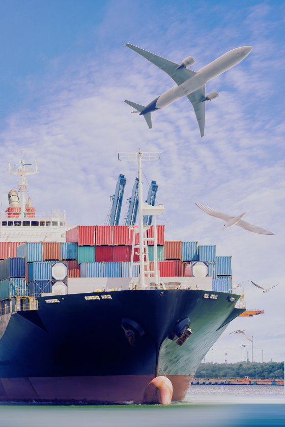 Export Business 